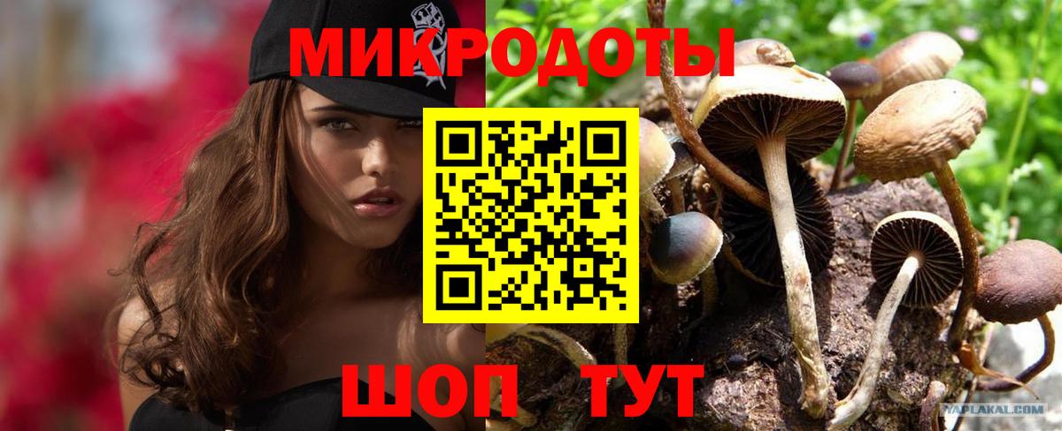 Псилоцибиновые грибы Magic Shrooms  Галлюциногенные грибы MAGIC MUSHROOMS  Сосновоборск  Вход с VPN 