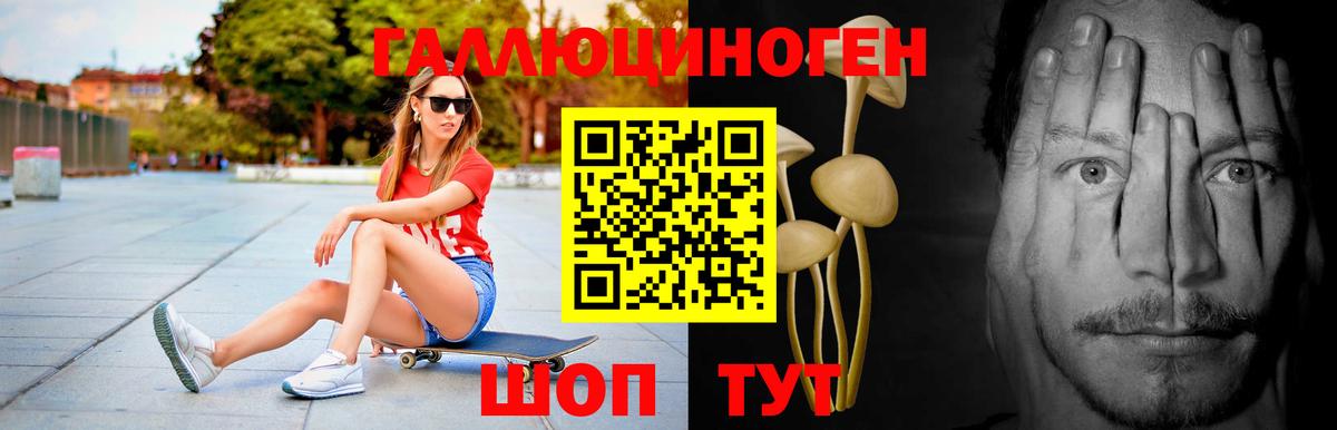 Галлюциногенные грибы Psilocybine cubensis Сосновоборск